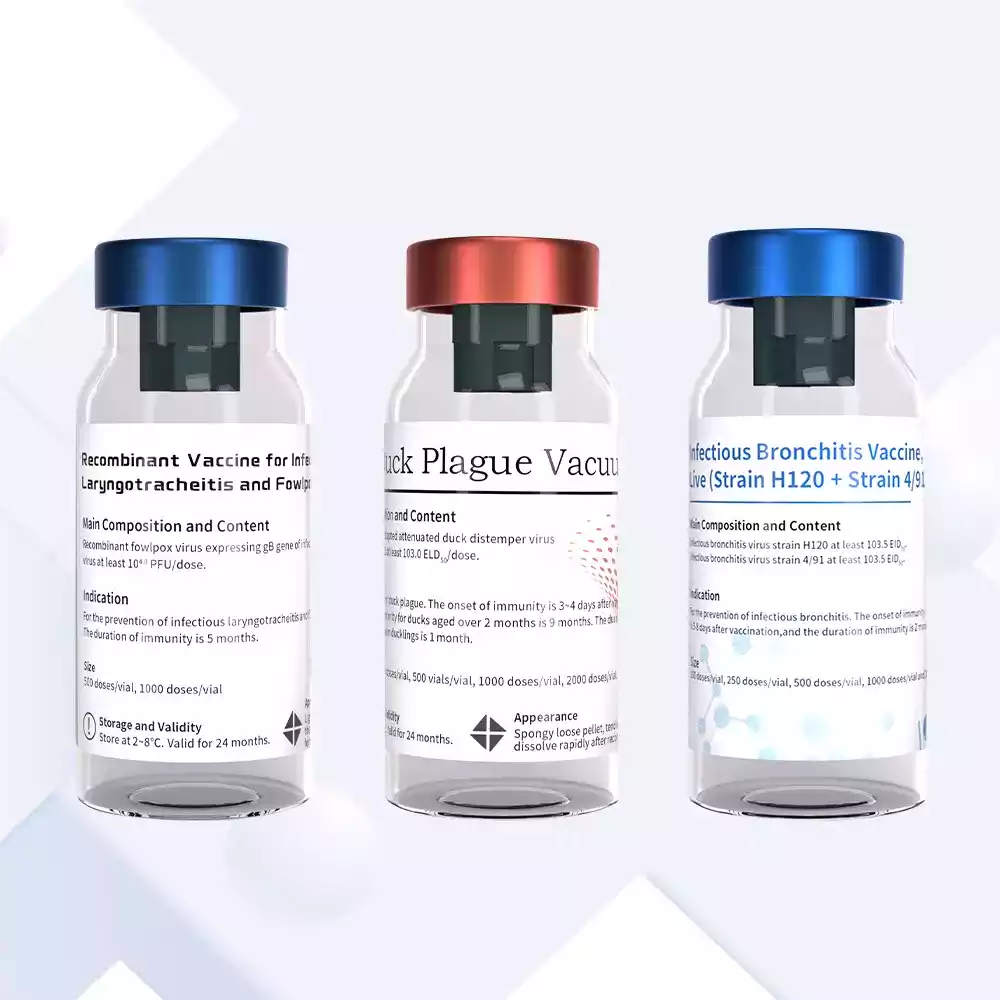 poultry vaccine