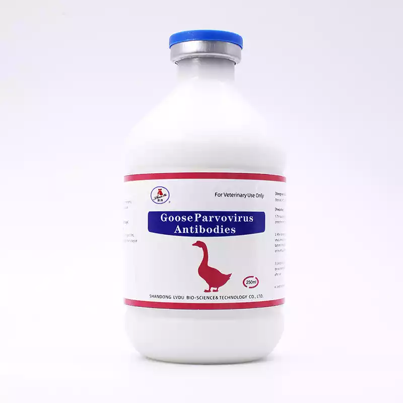 live gosling plague vaccine