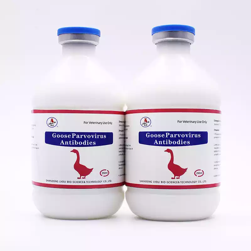 live gosling plague vaccine