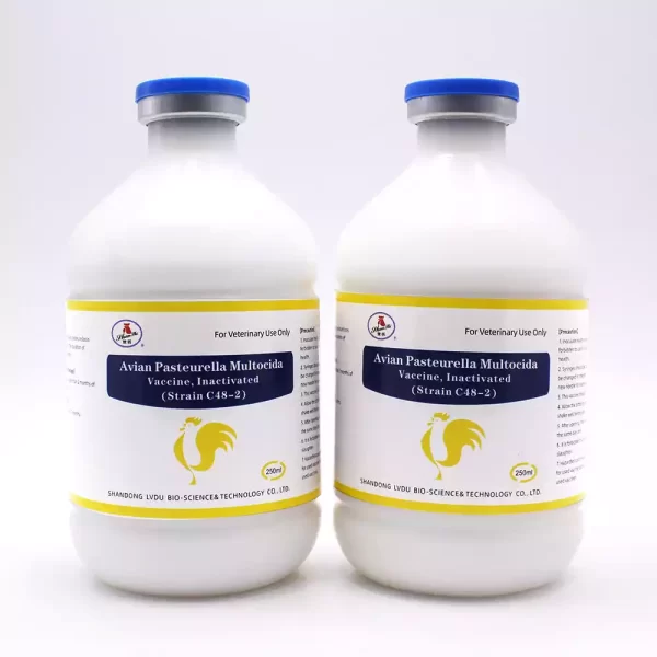 pasteurella multocida vaccine