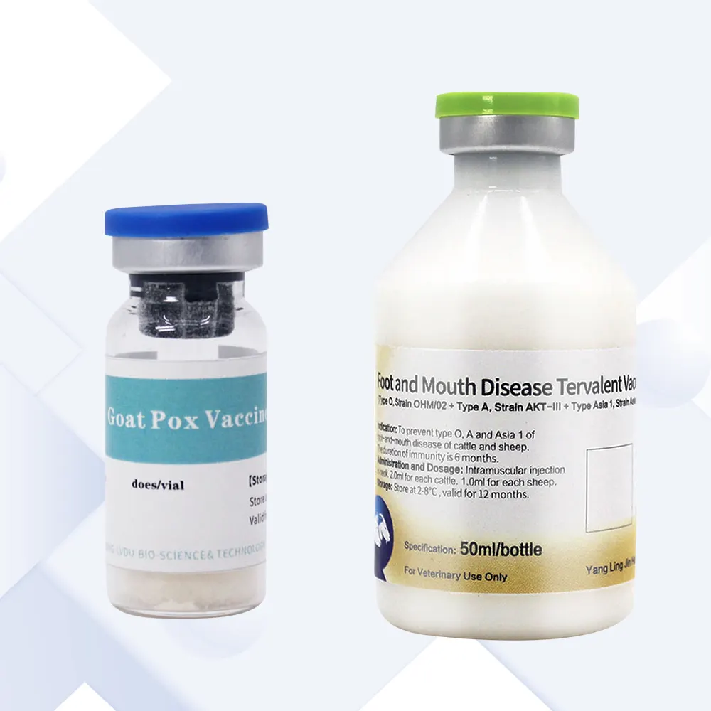 cattle and sheep vaccine