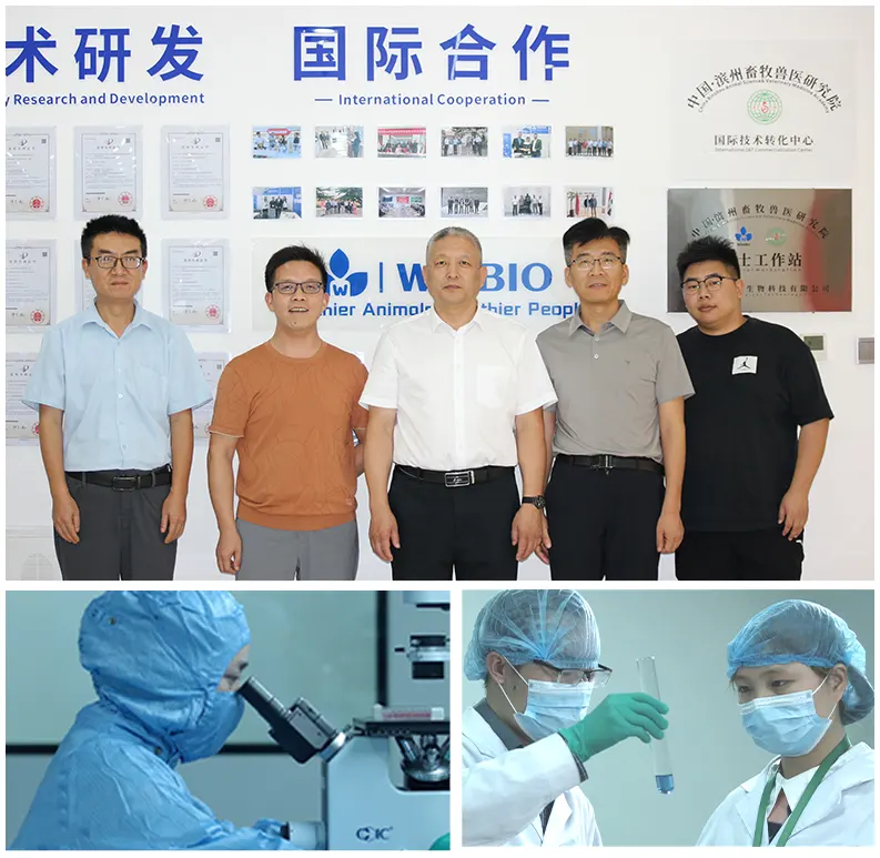 biotechnology company