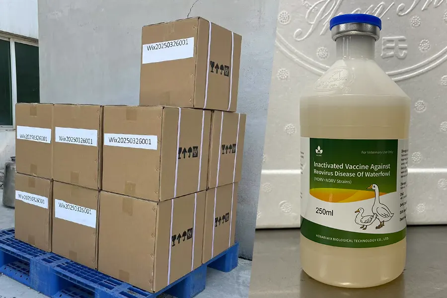 custom duck eutherian (reo) inactivated vaccine shipped to customer in vietnam