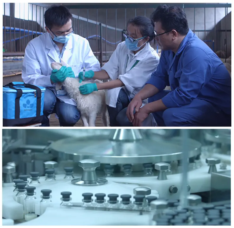 veterinary institution