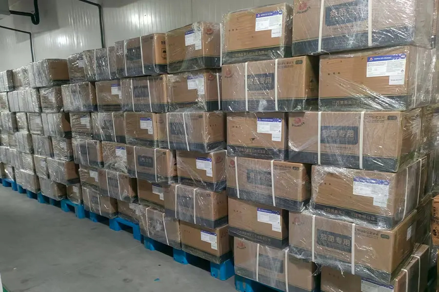 11,000 bottles of poultry vaccines sent to iraq