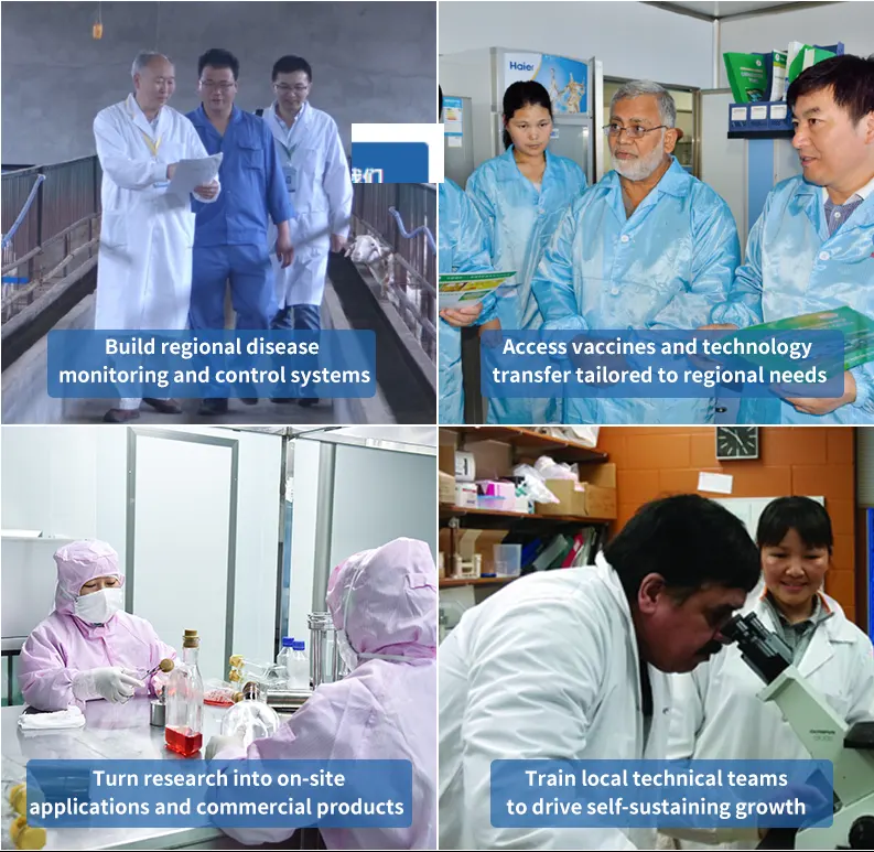 wixbio solutions
