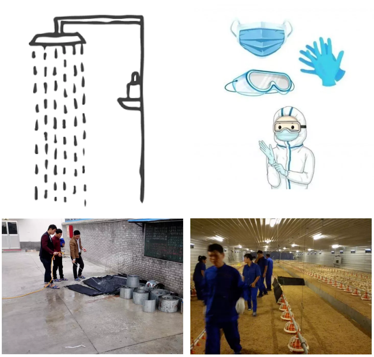 biosecurity