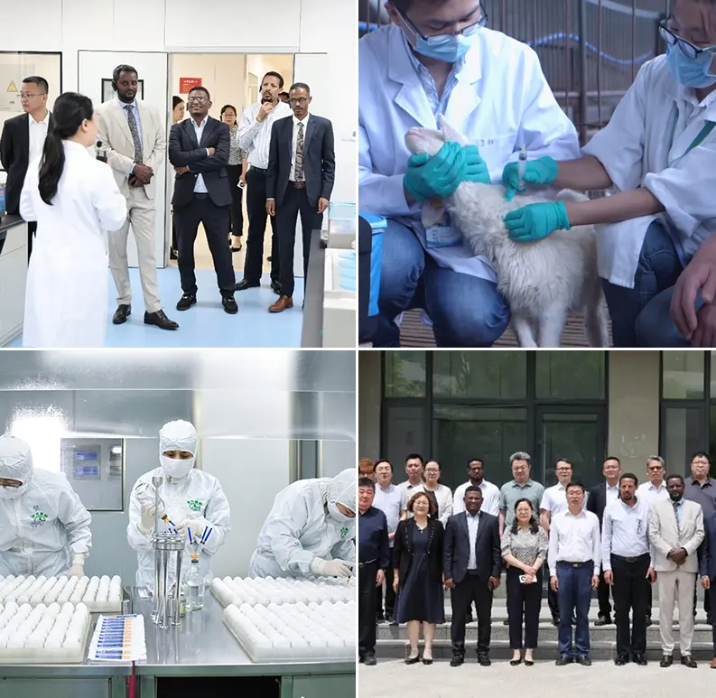 wixbio mission