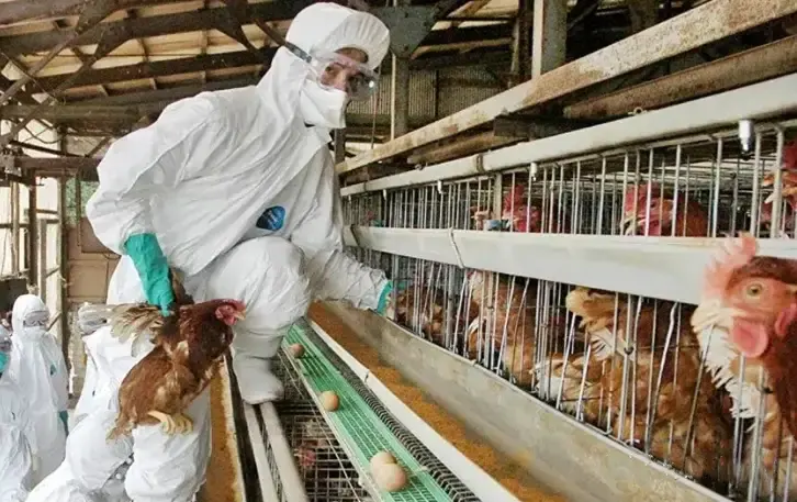 challenges for veterinary institutions and public health