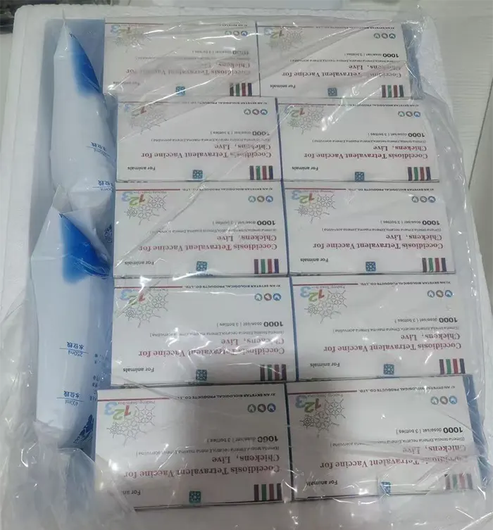 african customer places repeat order for wixbio coccidiosis tetravalent live vaccine2