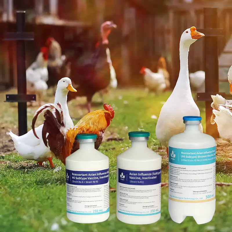 avian influenza vaccine for poultry
