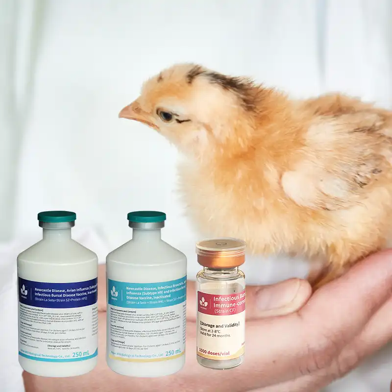 gumboro vaccine (ibd) for poultry
