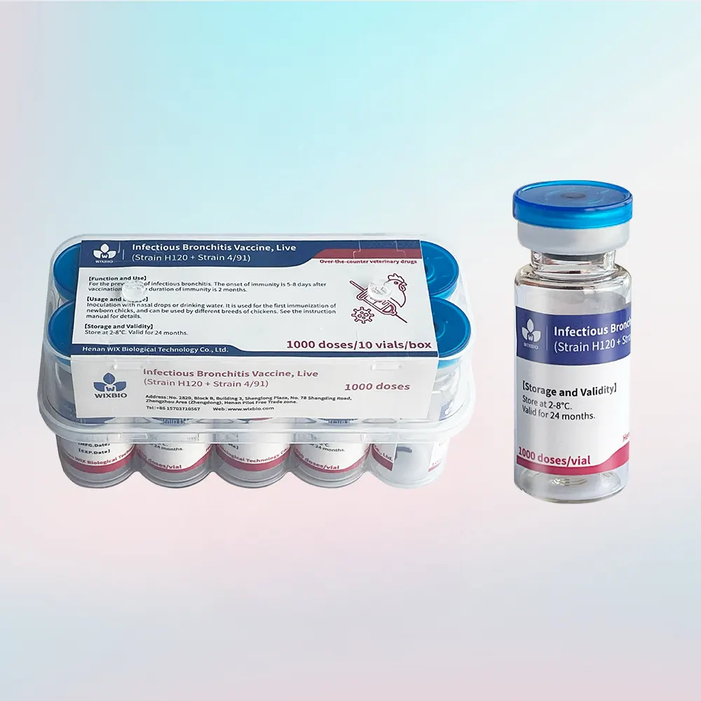 infectious bronchitis vaccine