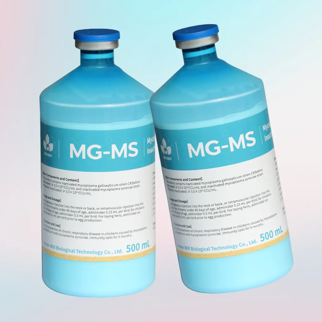 mg + ms combined vaccine for poultry