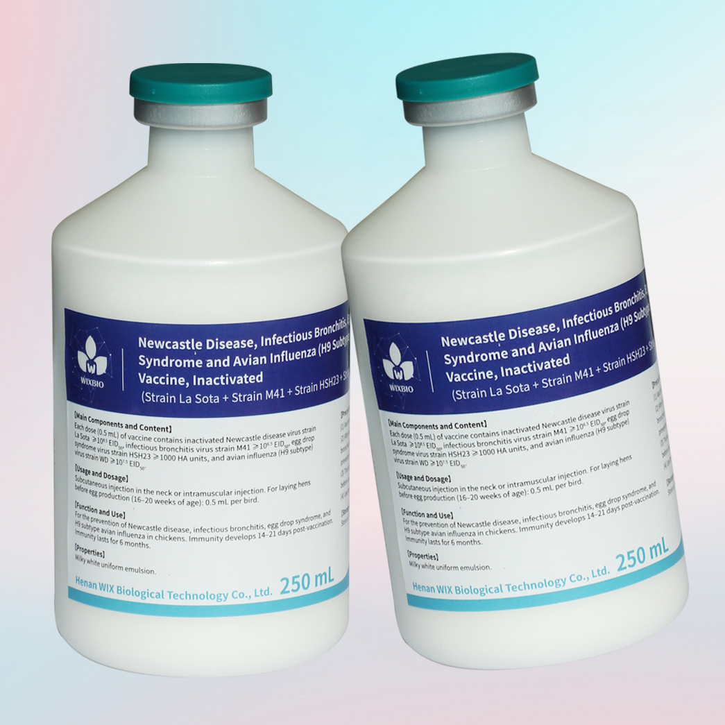 nd + ib + eds + h9 ai inactivated vaccine