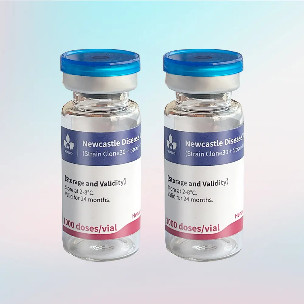 ndv clone30 & clonev4 vaccine